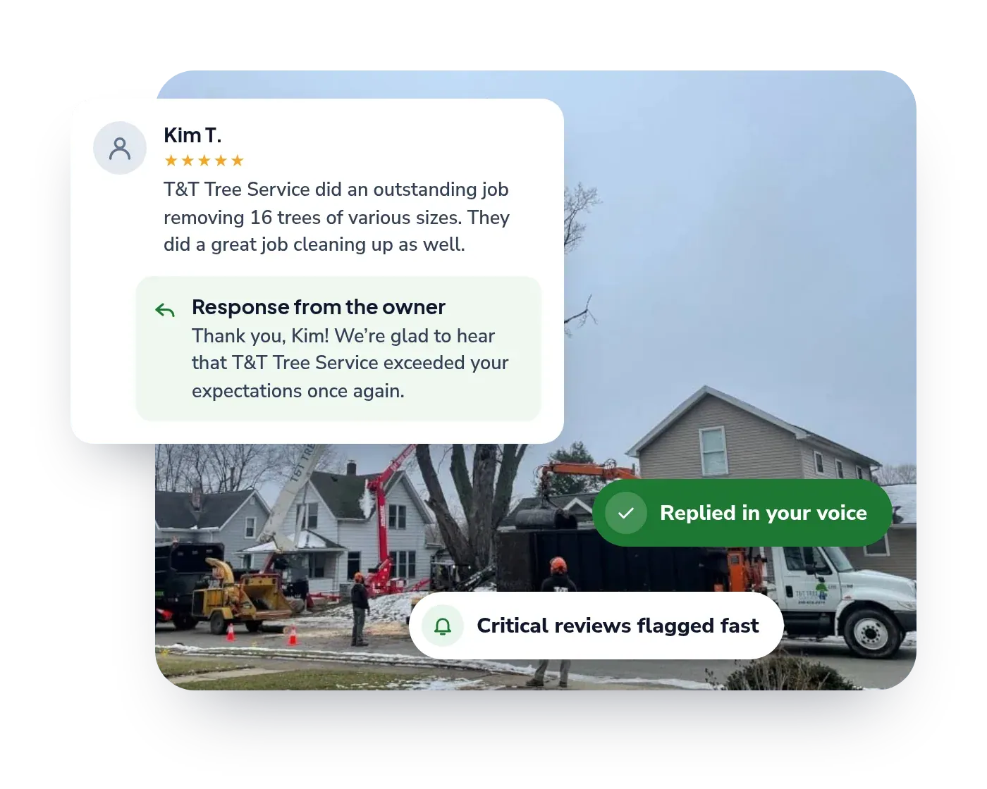 A real T&T Tree Service Google review with the owner’s reply