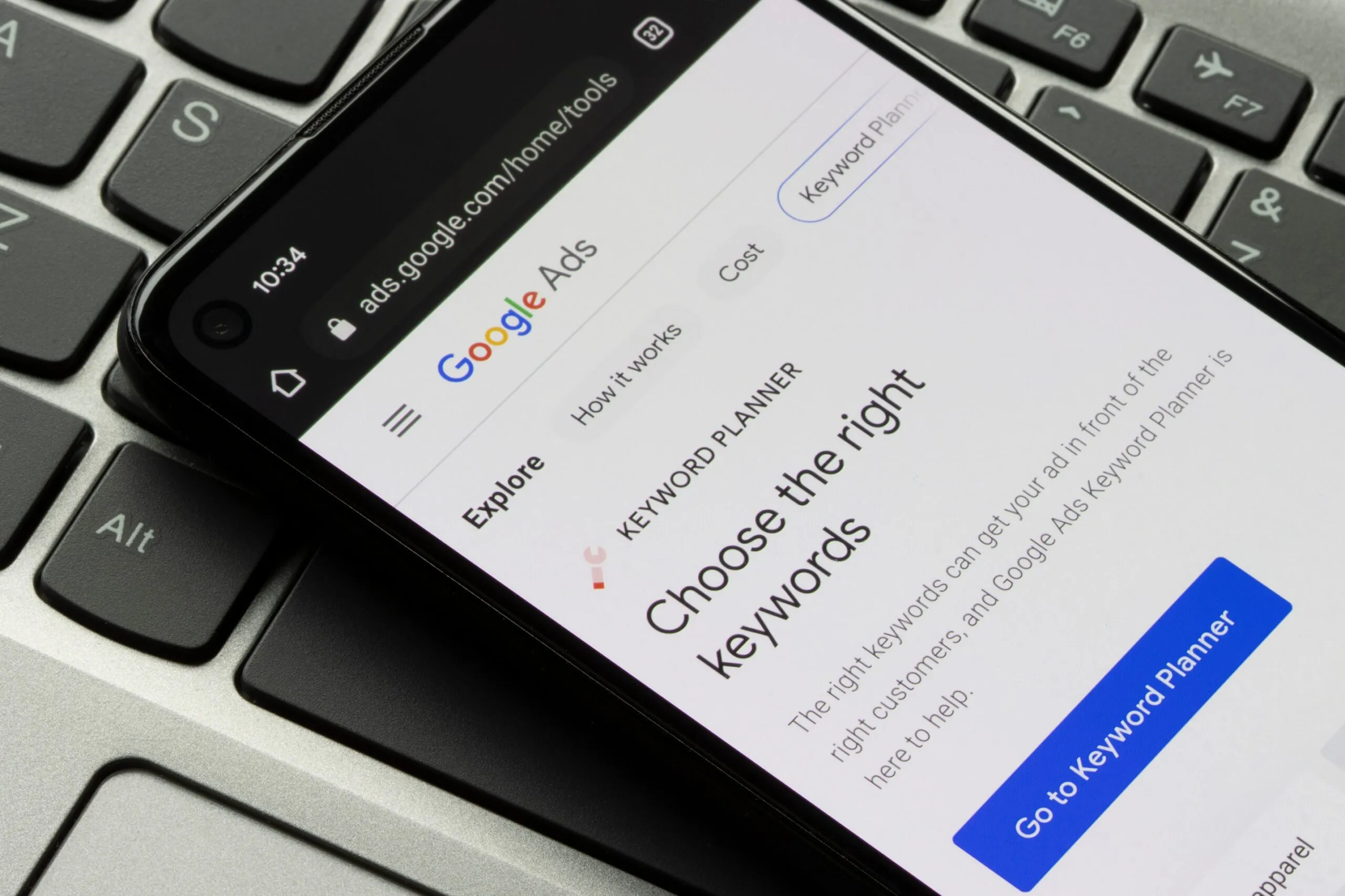 Seasonal SEO Tips for Tree Companies: Preparing for Peak Demand