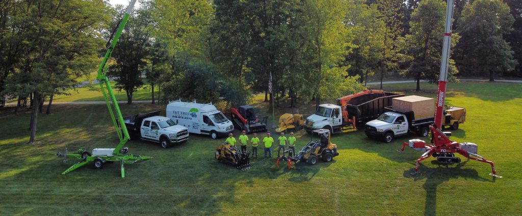 A featured image illustrating how to make a tree company Google Guaranteed.