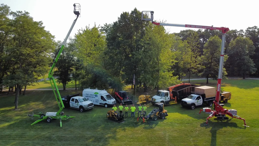 How tree service blogs will help you outrank the competition