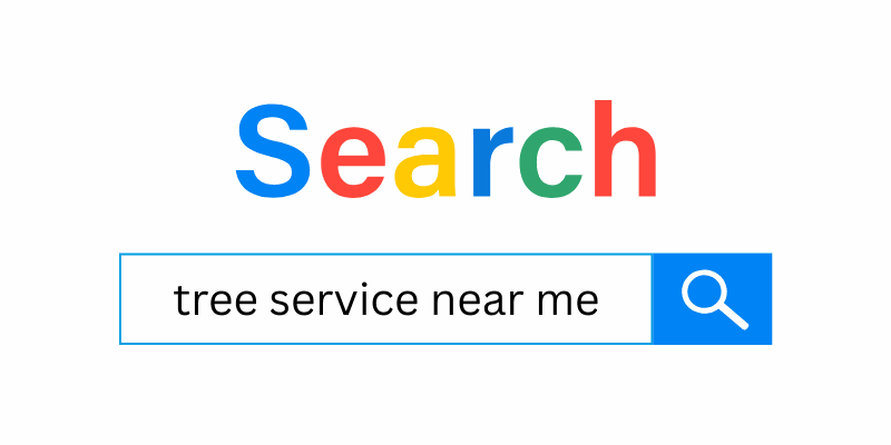 Why Your Tree Service Business Isn't Showing Up on Google & How to Fix it