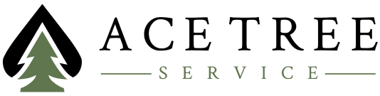 Ace-Tree-Service-website-logo-scaled-e1768334318883.png