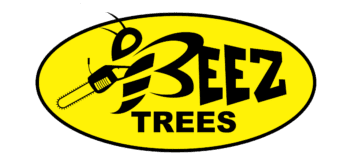 beez-trees-logo-300x146-2.png