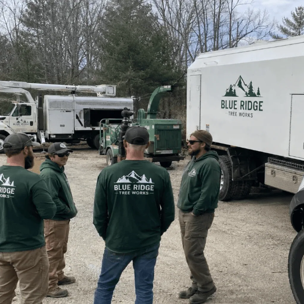 Valpo Agency guide to growing a tree service company showing professional fleet of branded tree service trucks