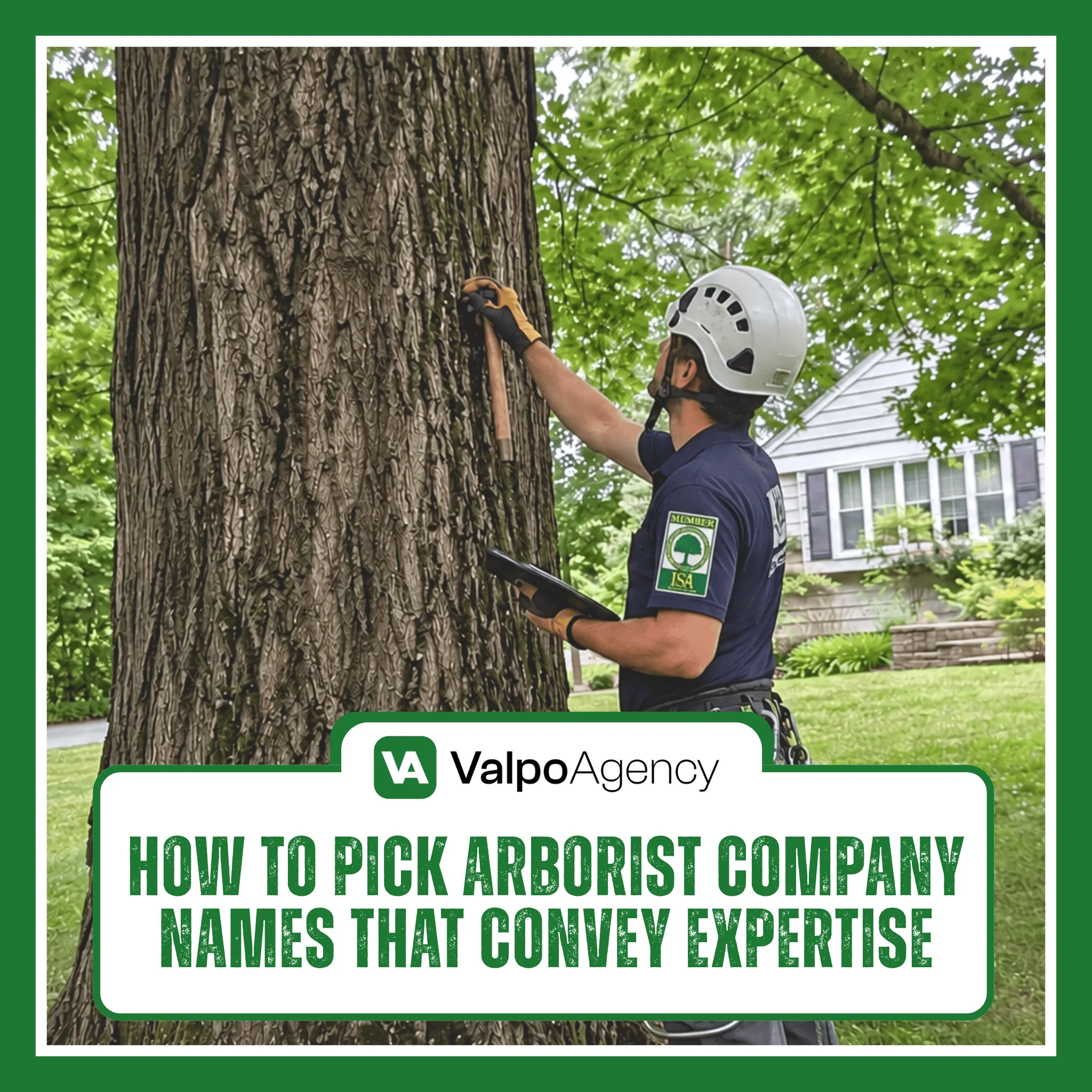 Certified arborist inspecting a large mature tree in a residential yard — arborist company names guide by Valpo Agency