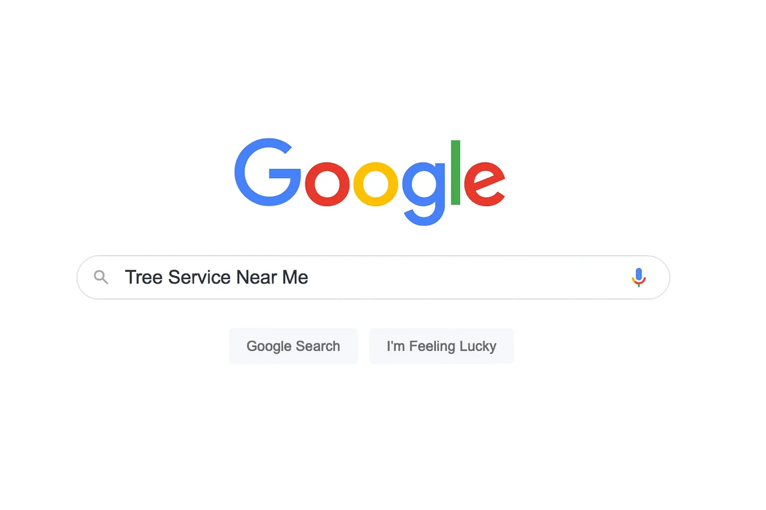 most searched home services on Google 2025-Tree service near me typed into the Google search bar, showing how users search for local arborists online